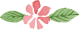 Thành Công Flower