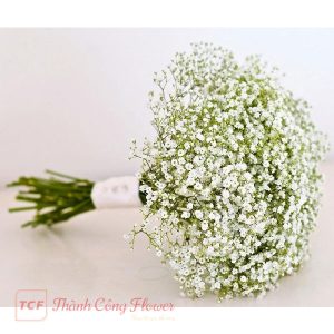 Hoa cưới bi trắng